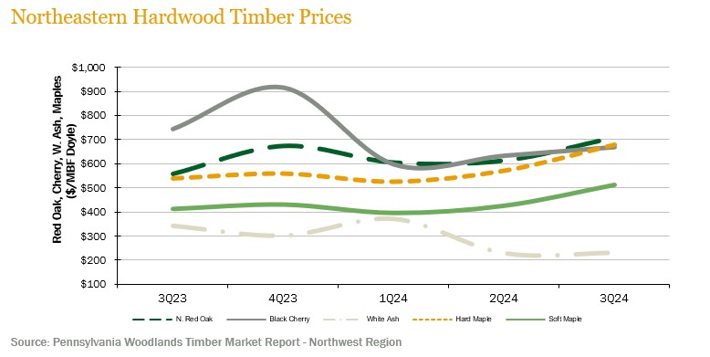 ne-timber-prices 4Q24