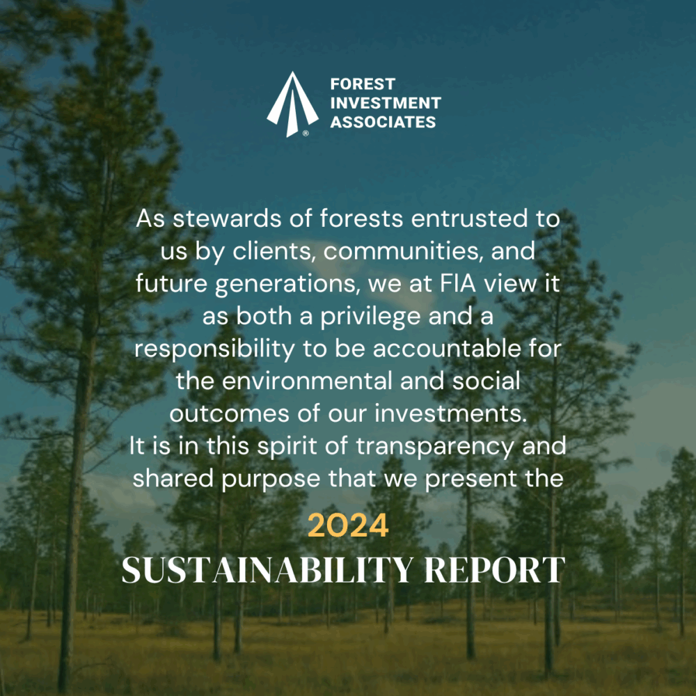 Sustainability Report 2024