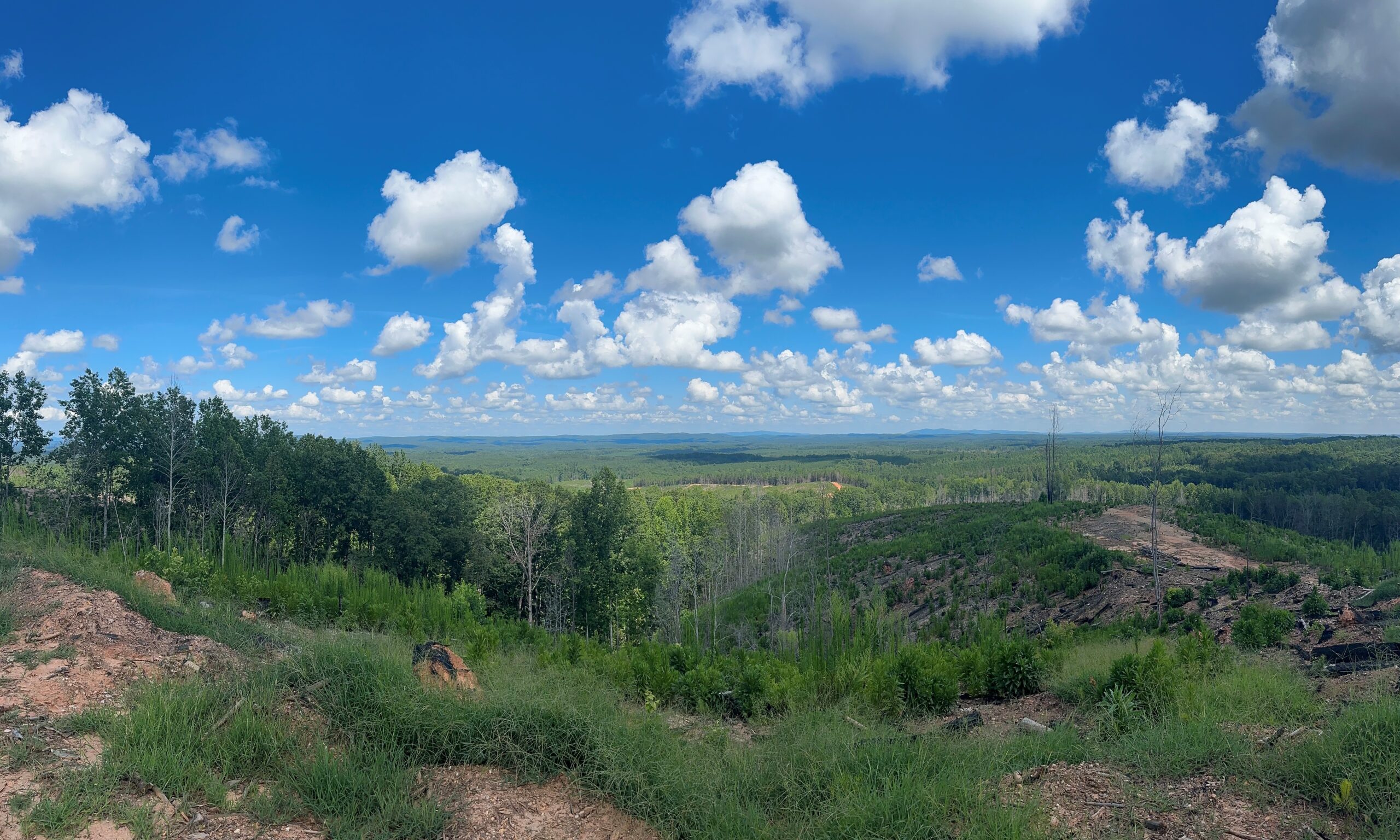 FIA Announces Pending $220 million Acquisition of 86,000 Acres of GA and AL Timberlands from Weyerhaeuser