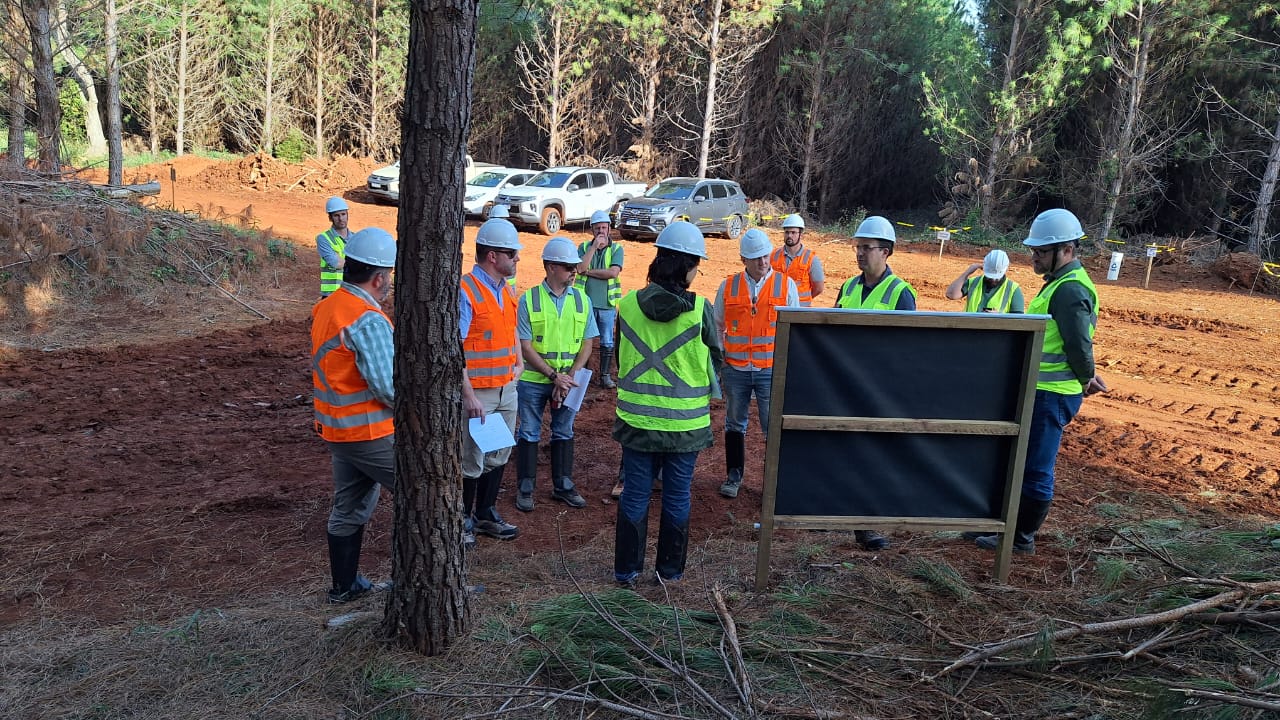 Women in Forestry: Leadership, Stewardship, and the Future of Forest Management